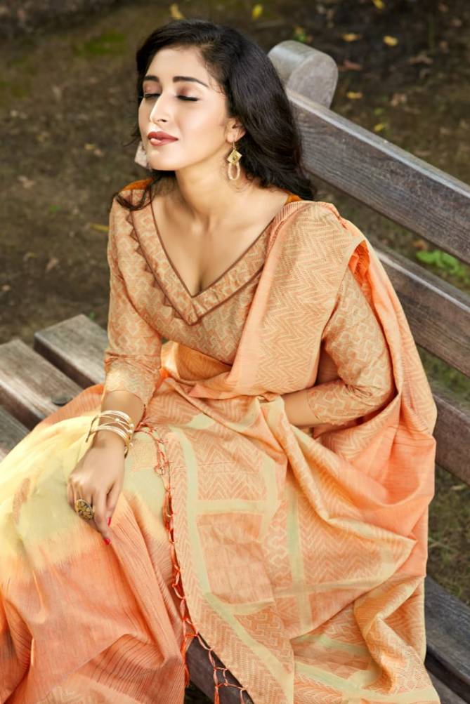 Rajyog Paridhan Silk Pure Cotton Silk Designer Party Wear Saree Collection at Wholesale Price